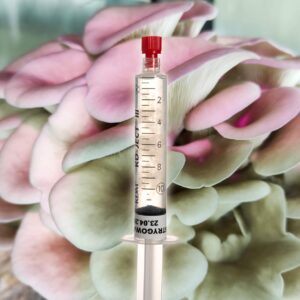 Grzybnia Płynna Boczniak Ostrygowaty