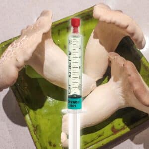 Grzybnia Płynna Boczniak Mikołajowy