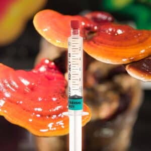 Grzybnia Płynna Laskownica Lśniąca