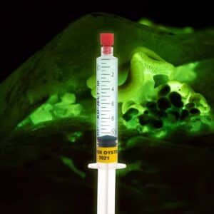 Grzybnia Płynna Łycznik Ochrowy