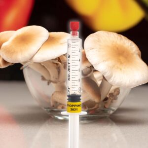 Grzybnia Płynna Polówka Wiązkowa