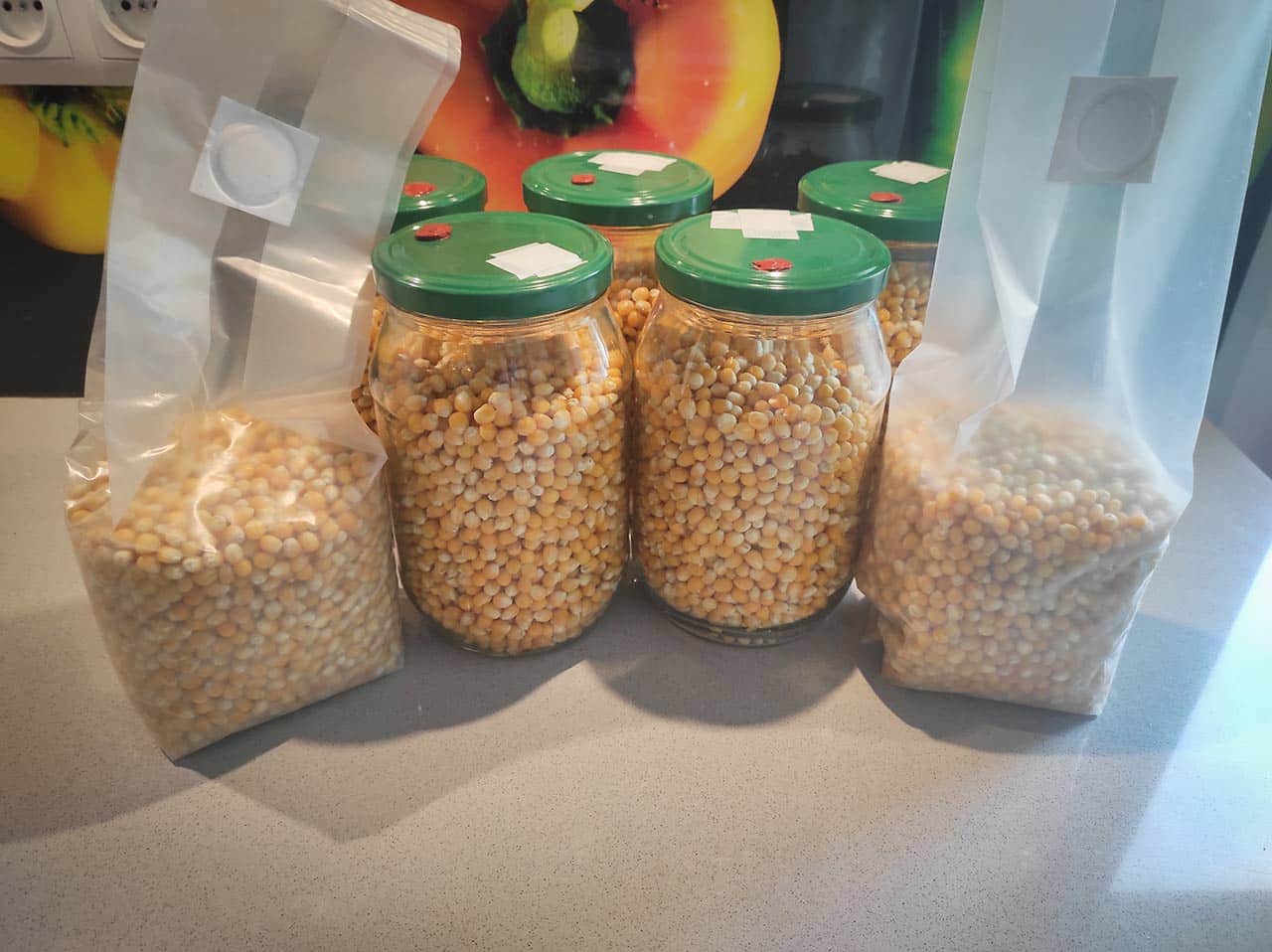 Szczenienie grzybnią w-płynie