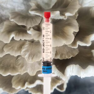 Boczniak Łyżkowaty Grzybnia Płynna