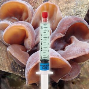 Grzybnia Płynna Uszak Gęstowłosy