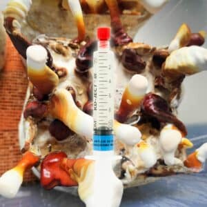 Antler Rejshii Grzybnia Płynna