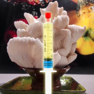 Boczniak Biały Grzybnia Płynna