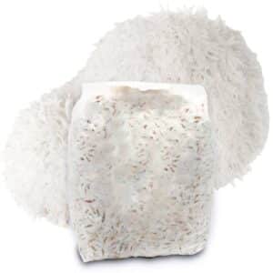 Soplówka Jeżowata Grzybnia na Ziarnie 1000 gram