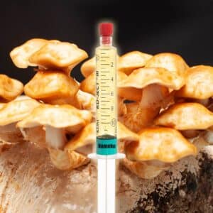 Łuskwiak Nameko Grzybnia Płynna