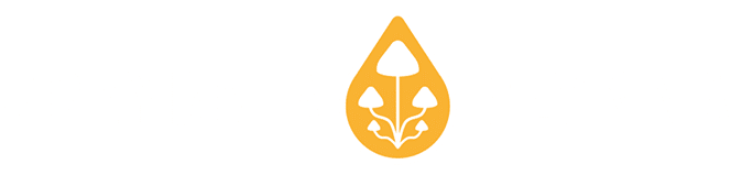 Grzybnia Płynna logo 2