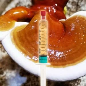 Ganoderma Neo-Japonicum Grzybnia Plynna