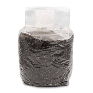 Substrat do Psilocybe Cubensis