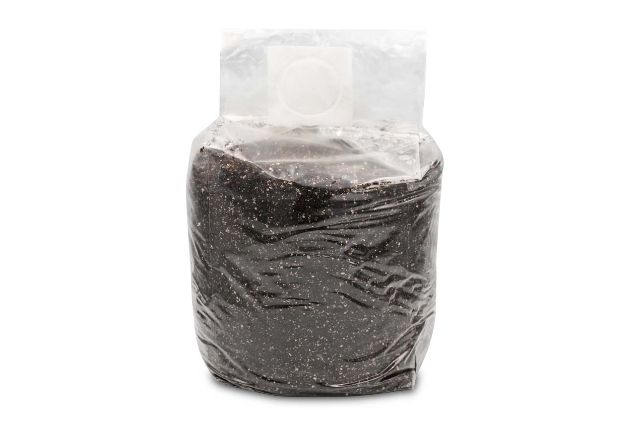 Substrat do Psilocybe Cubensis