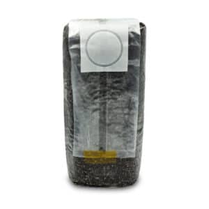 Psilocybe Cubensis Substrat