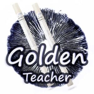 Zarodniki Golden Teacher-Swab