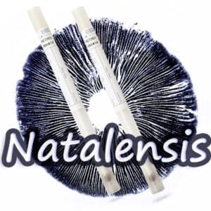 Zarodniki Natalensis Swab